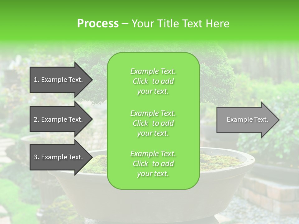 Tropical Green Beautiful PowerPoint Template