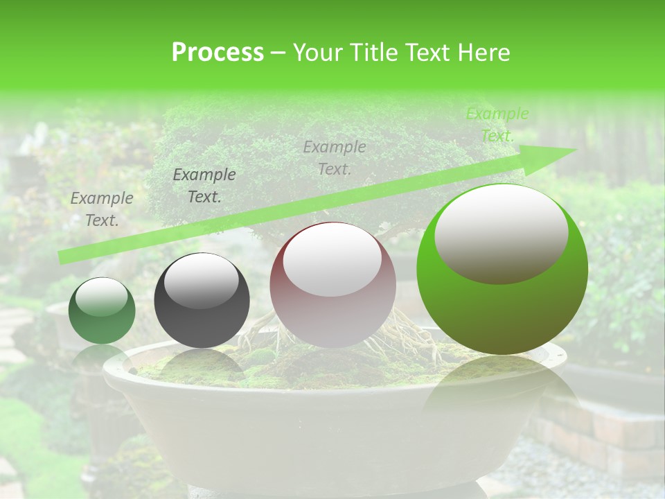 Tropical Green Beautiful PowerPoint Template