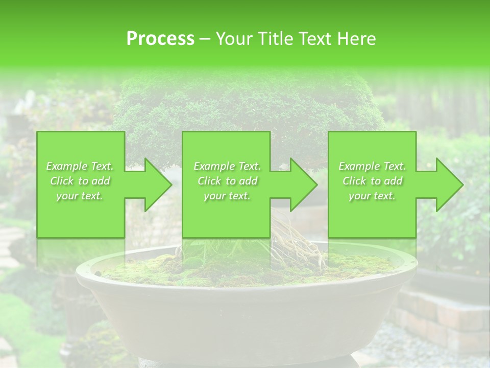 Tropical Green Beautiful PowerPoint Template