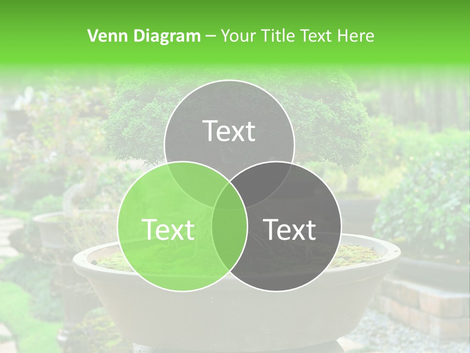 Tropical Green Beautiful PowerPoint Template