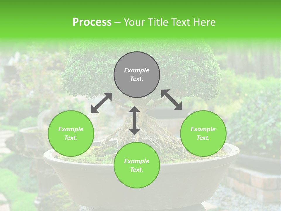 Tropical Green Beautiful PowerPoint Template