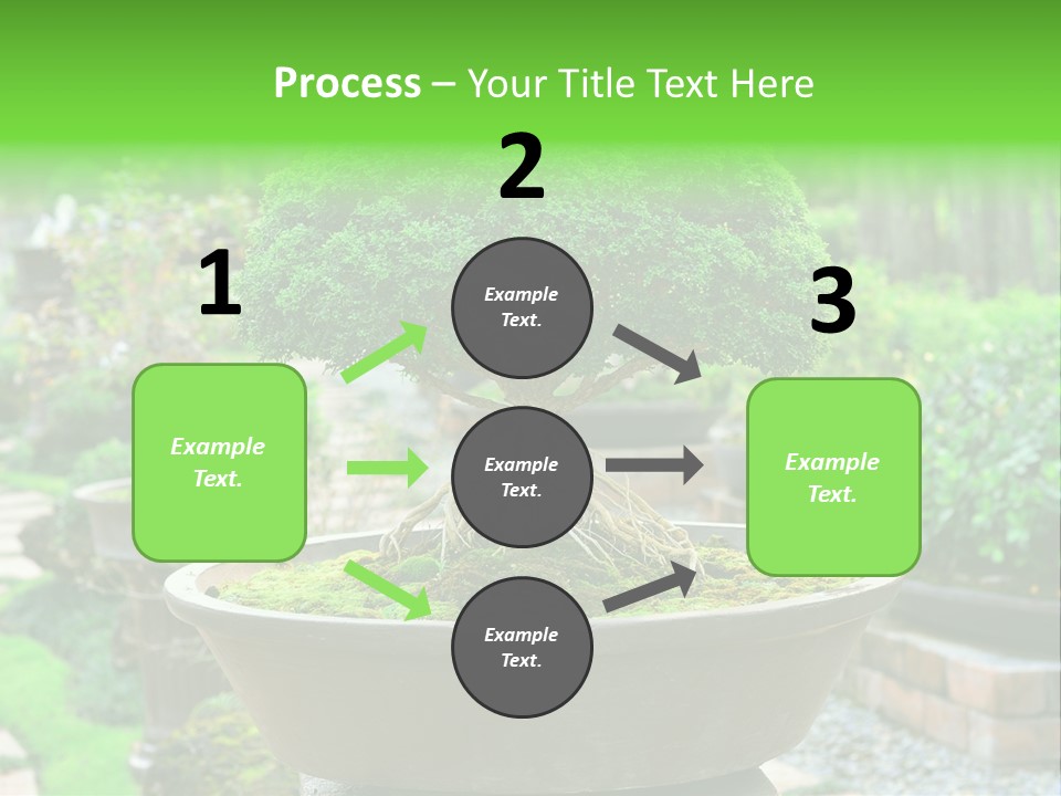 Tropical Green Beautiful PowerPoint Template