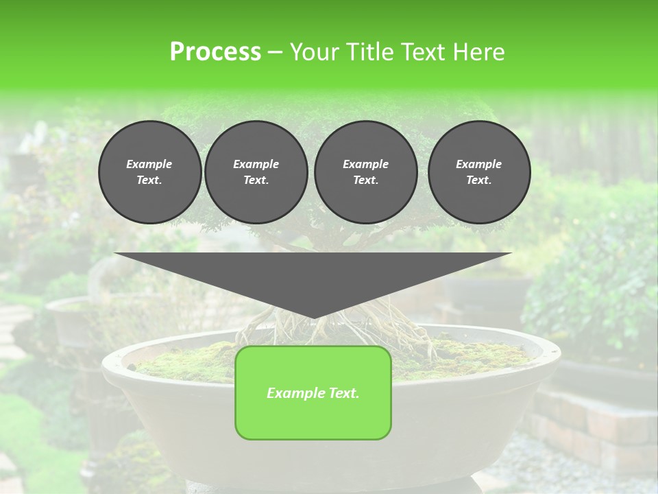 Tropical Green Beautiful PowerPoint Template