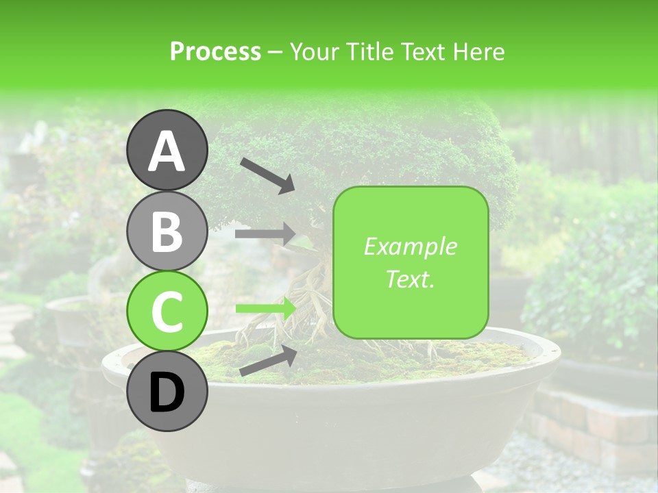 Tropical Green Beautiful PowerPoint Template