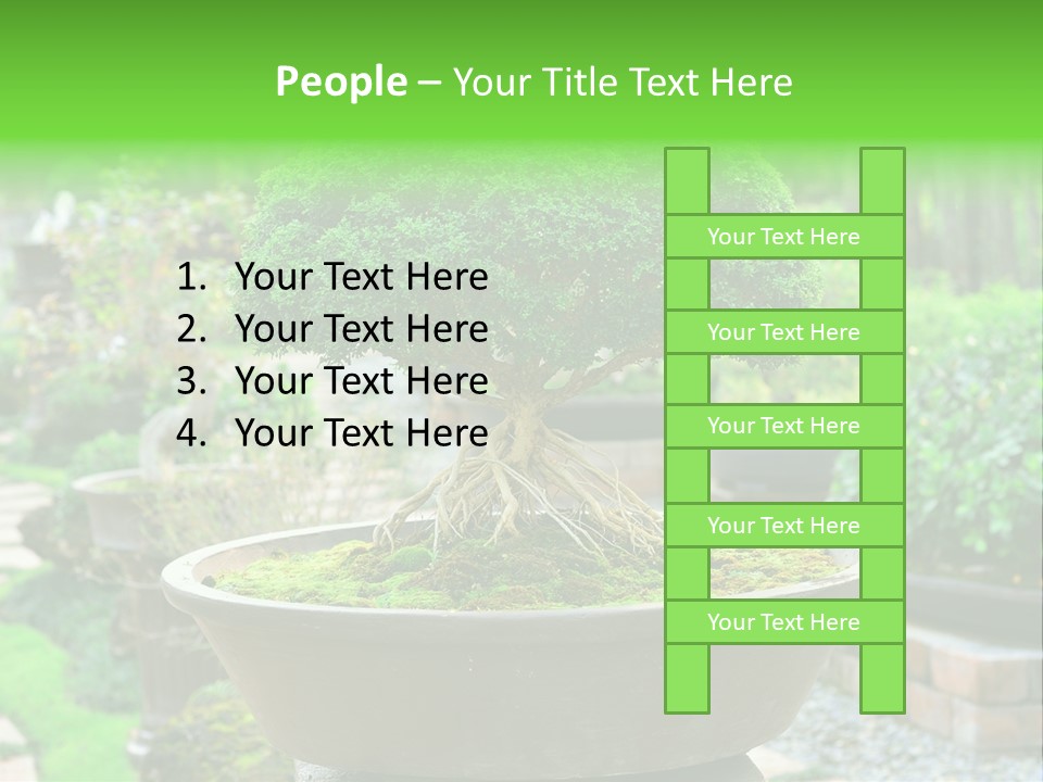 Tropical Green Beautiful PowerPoint Template