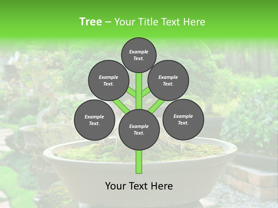 Tropical Green Beautiful PowerPoint Template