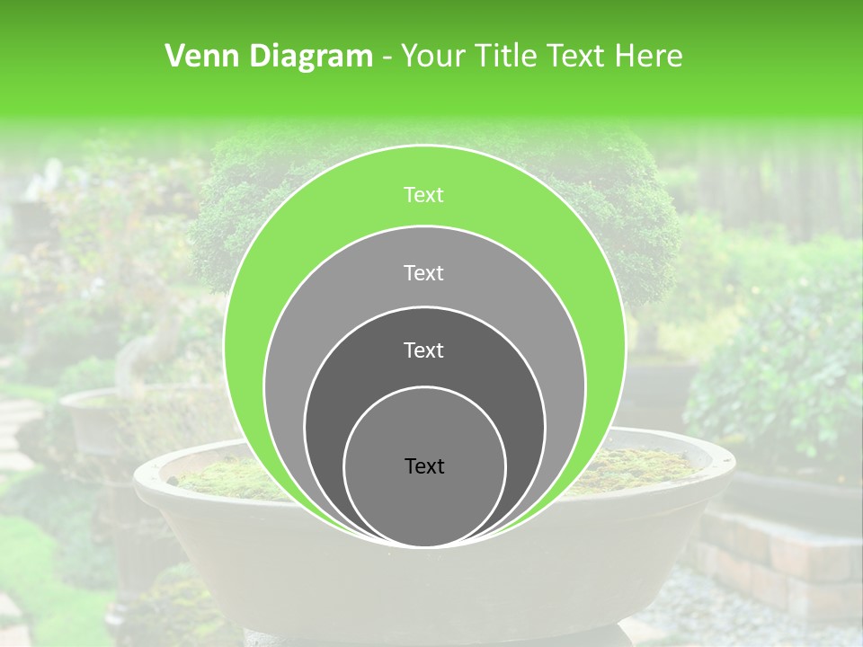 Tropical Green Beautiful PowerPoint Template