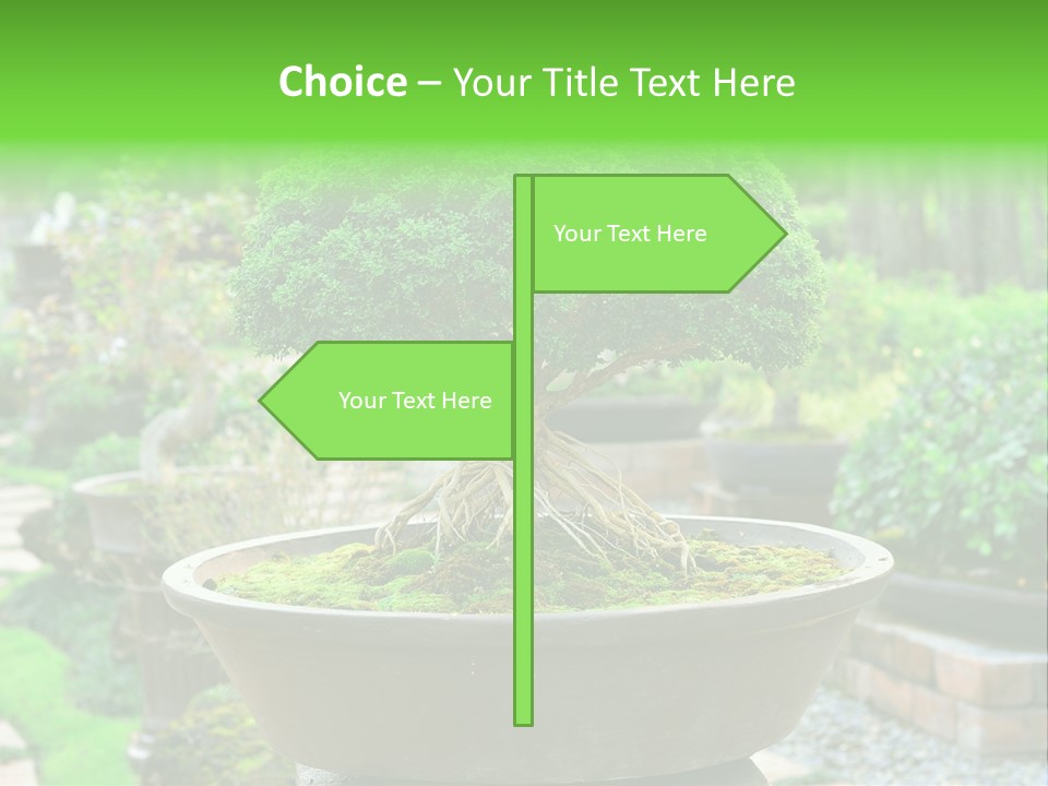 Tropical Green Beautiful PowerPoint Template