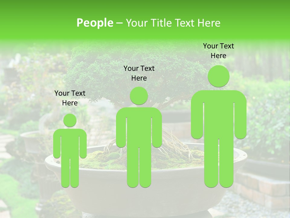 Tropical Green Beautiful PowerPoint Template