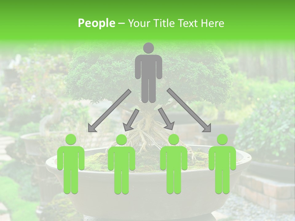 Tropical Green Beautiful PowerPoint Template