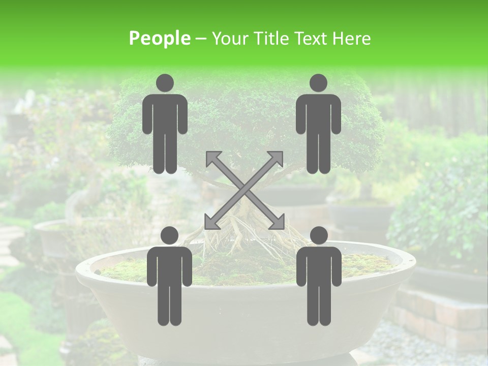 Tropical Green Beautiful PowerPoint Template