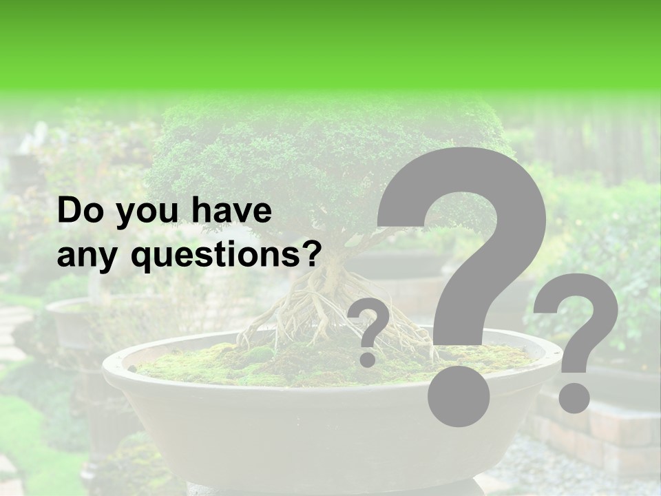 Tropical Green Beautiful PowerPoint Template