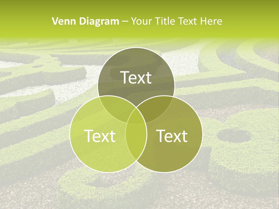 Formal Box Romantic PowerPoint Template