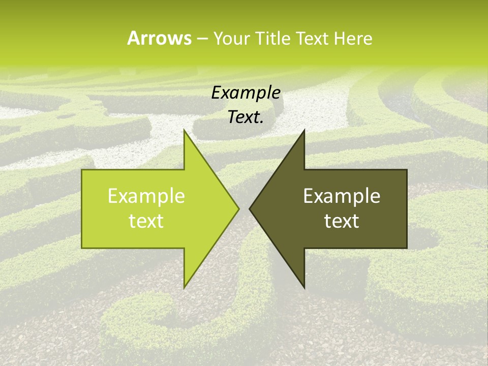 Formal Box Romantic PowerPoint Template