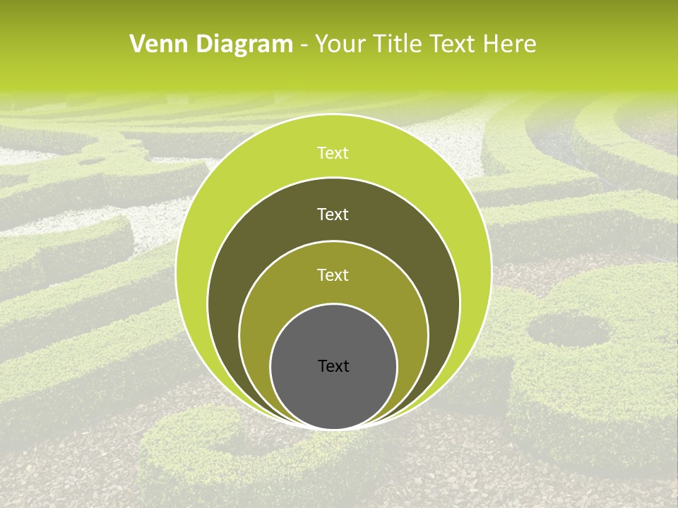 Formal Box Romantic PowerPoint Template