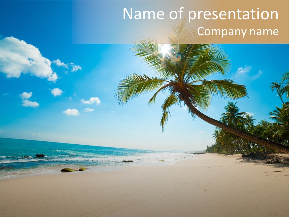 Tree Sun Island PowerPoint Template