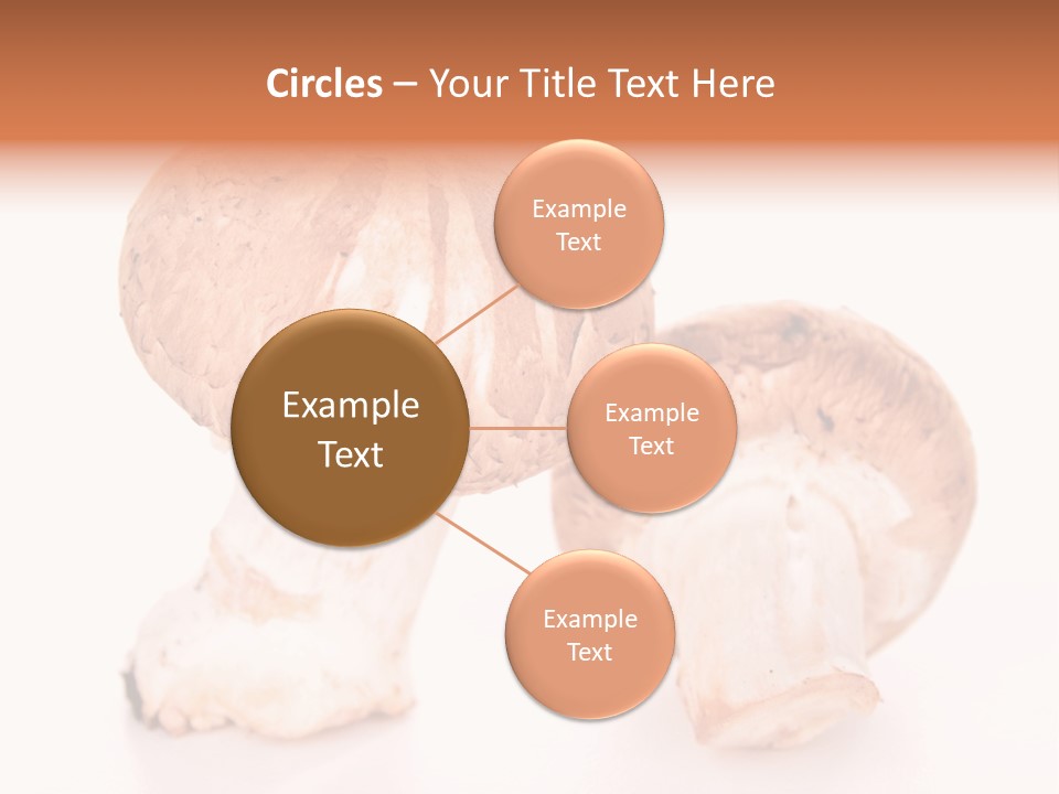 Vegetarian Fresh Background PowerPoint Template