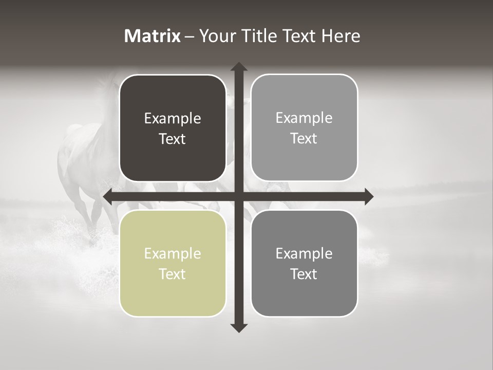 Mare Herd Stallion PowerPoint Template