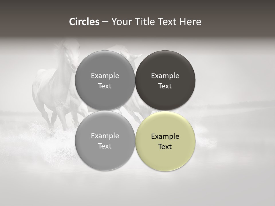 Mare Herd Stallion PowerPoint Template