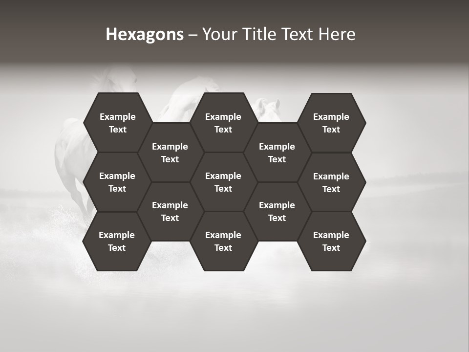 Mare Herd Stallion PowerPoint Template