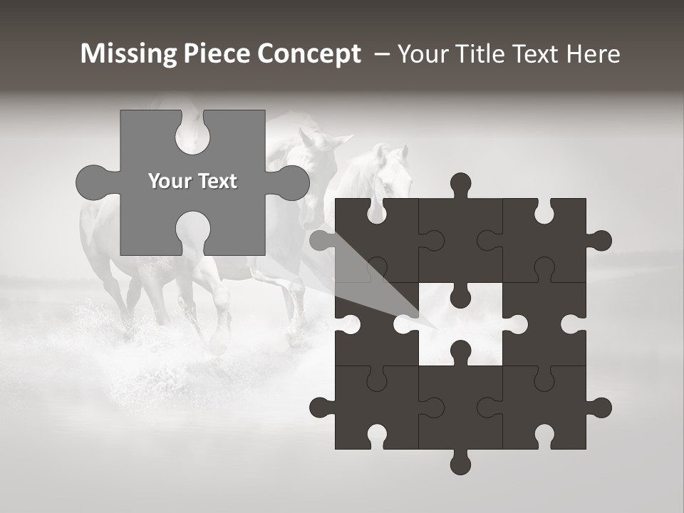 Mare Herd Stallion PowerPoint Template