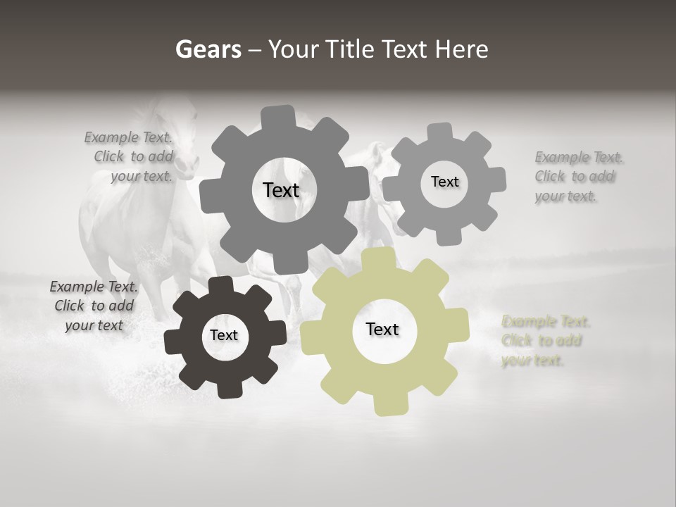 Mare Herd Stallion PowerPoint Template