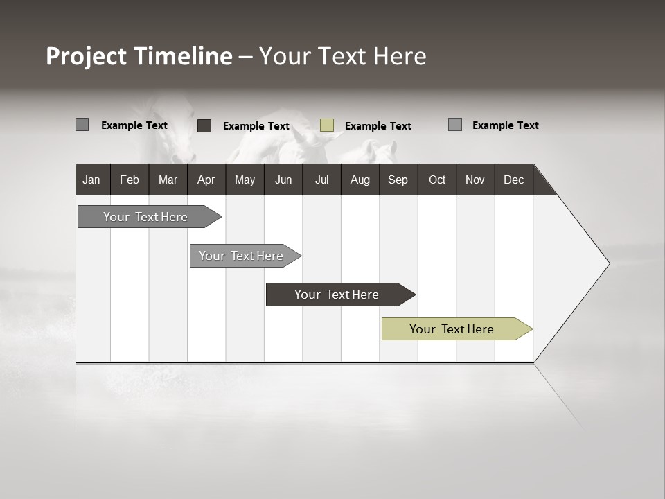 Mare Herd Stallion PowerPoint Template