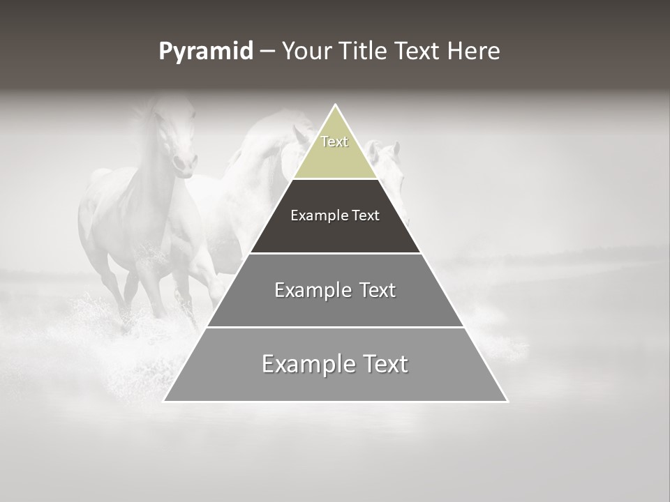 Mare Herd Stallion PowerPoint Template