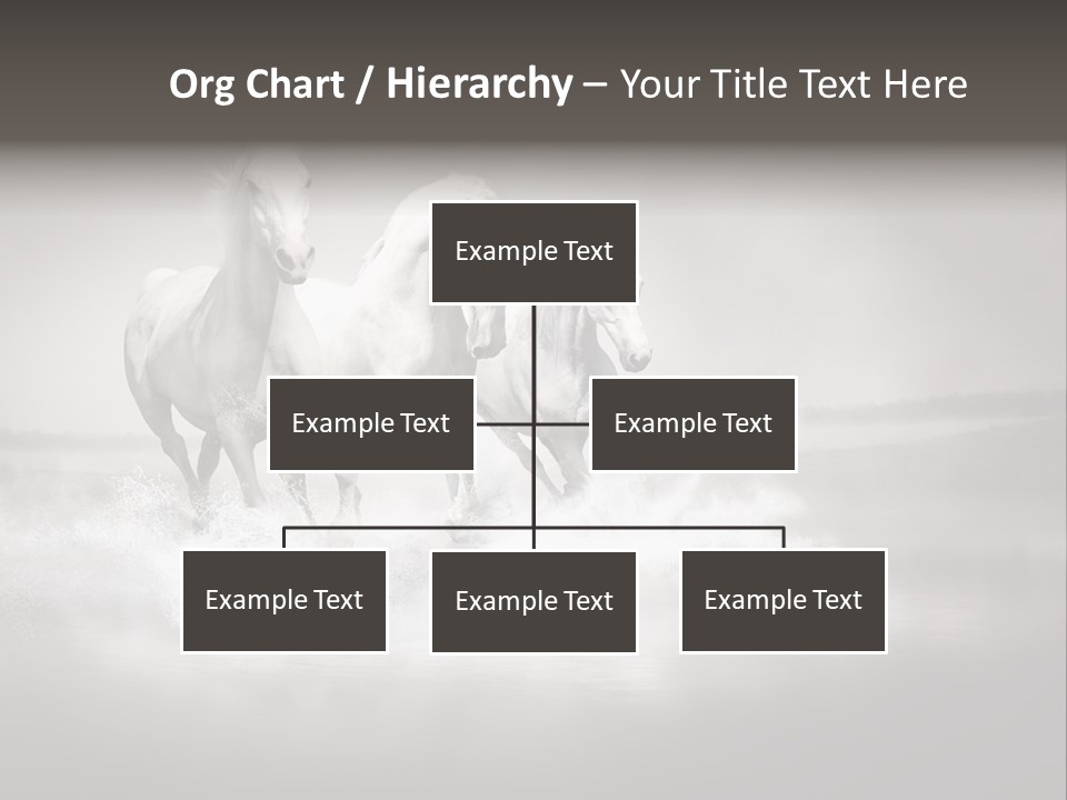 Mare Herd Stallion PowerPoint Template