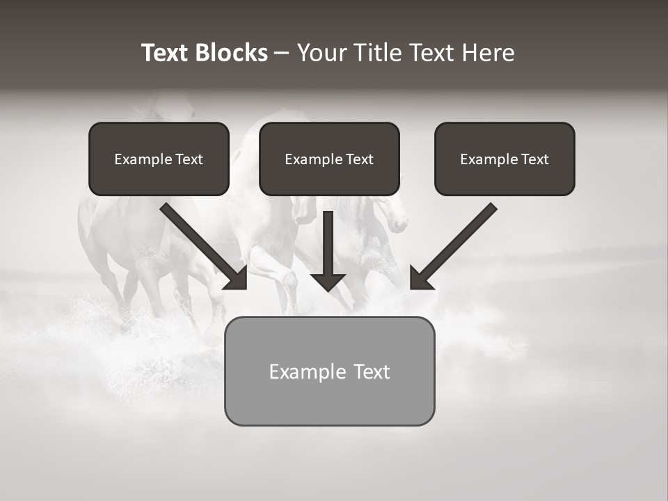 Mare Herd Stallion PowerPoint Template