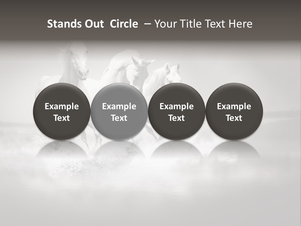 Mare Herd Stallion PowerPoint Template