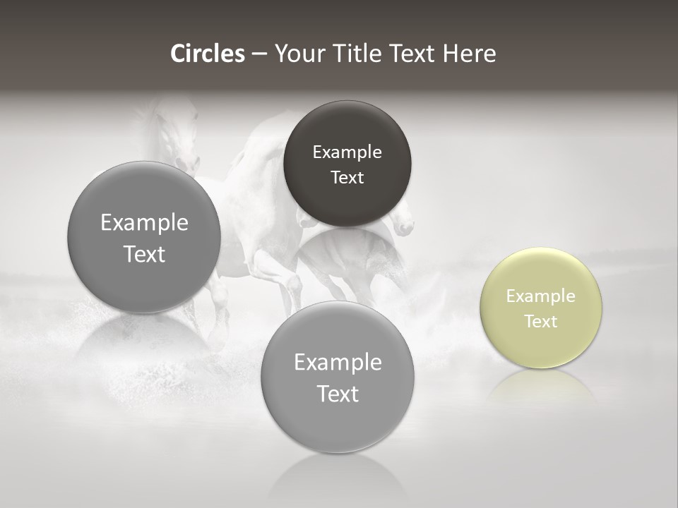 Mare Herd Stallion PowerPoint Template