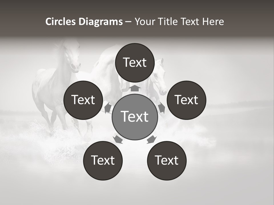 Mare Herd Stallion PowerPoint Template