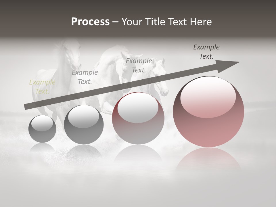 Mare Herd Stallion PowerPoint Template