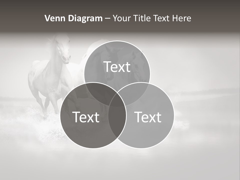 Mare Herd Stallion PowerPoint Template