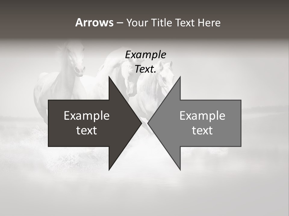 Mare Herd Stallion PowerPoint Template