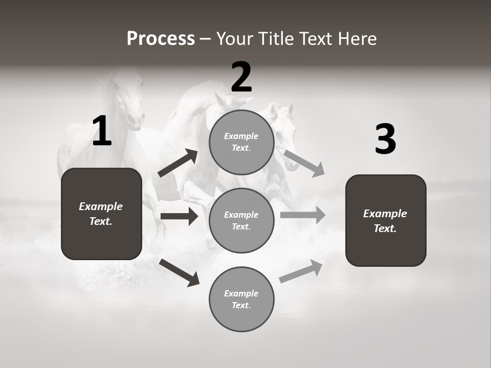 Mare Herd Stallion PowerPoint Template