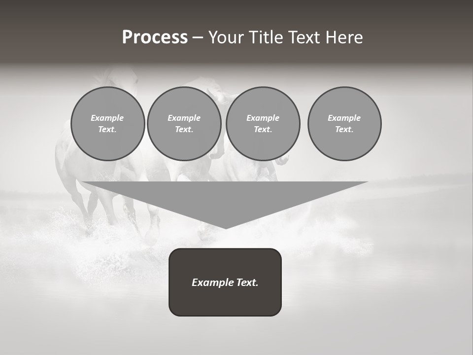 Mare Herd Stallion PowerPoint Template