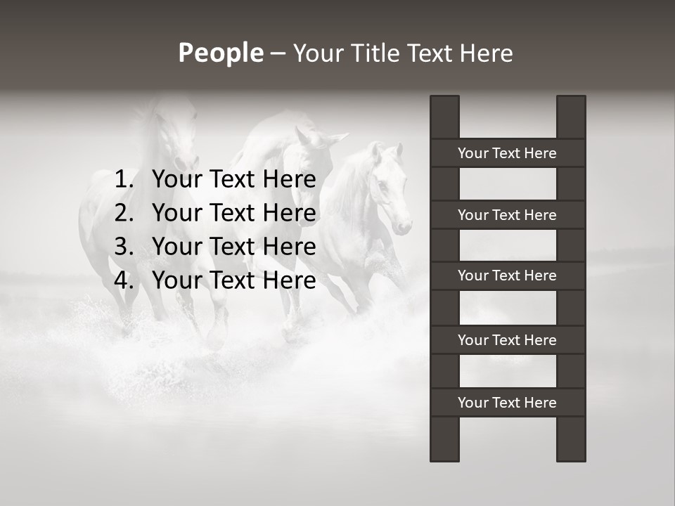 Mare Herd Stallion PowerPoint Template
