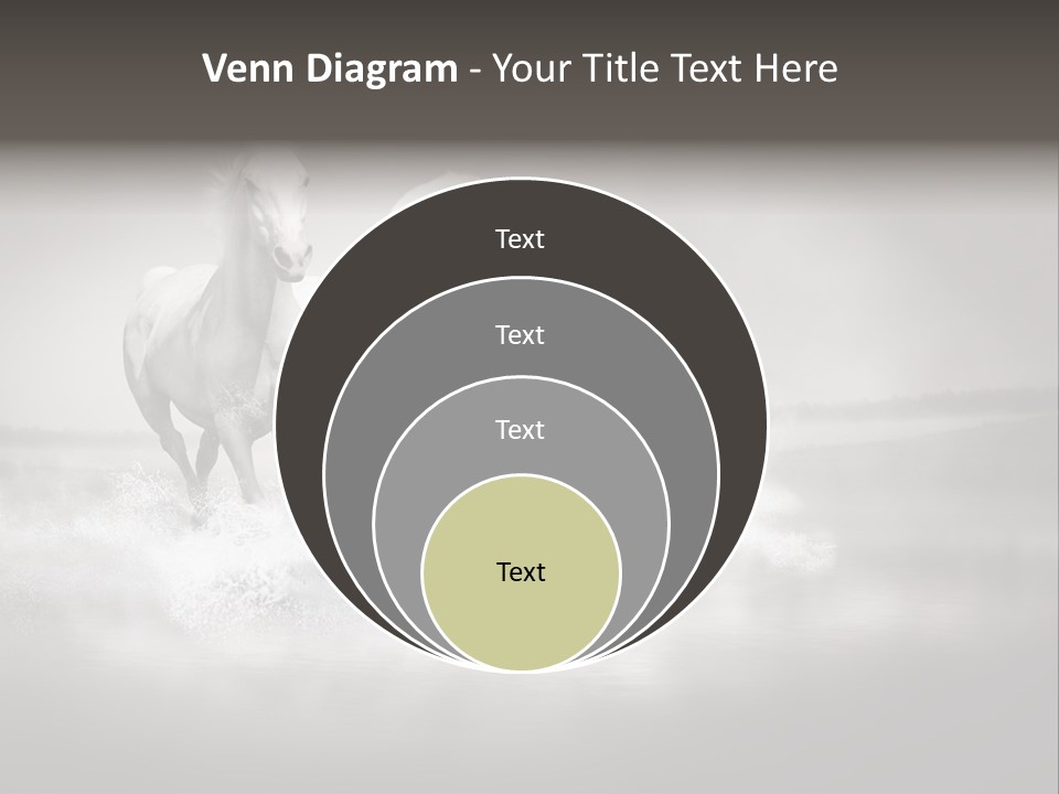 Mare Herd Stallion PowerPoint Template