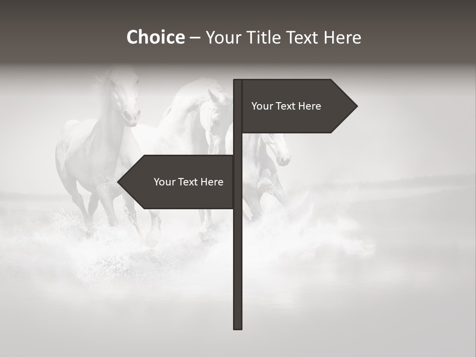 Mare Herd Stallion PowerPoint Template