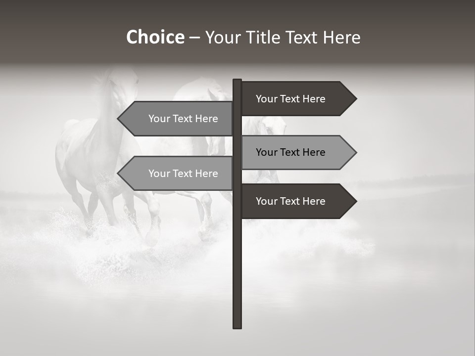 Mare Herd Stallion PowerPoint Template