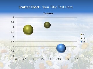 Daisy Dandelion Flower PowerPoint Template