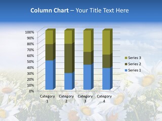 Daisy Dandelion Flower PowerPoint Template