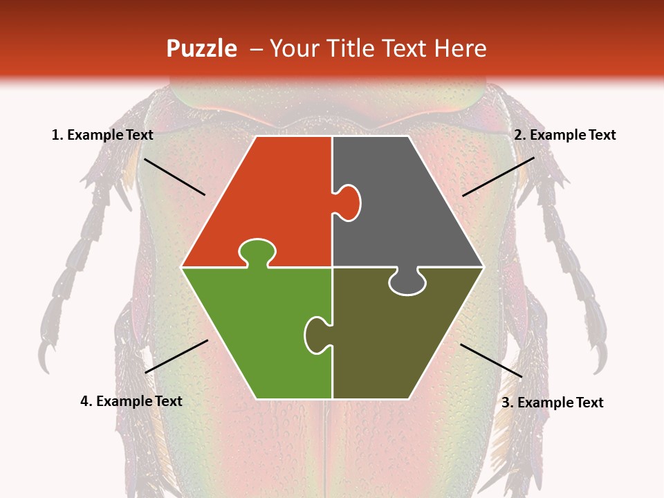 Potosia Scarab Scarabaeoidea PowerPoint Template