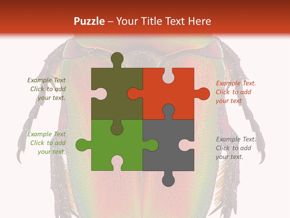 Potosia Scarab Scarabaeoidea PowerPoint Template