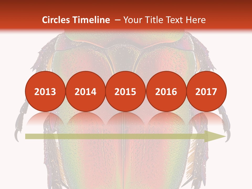 Potosia Scarab Scarabaeoidea PowerPoint Template