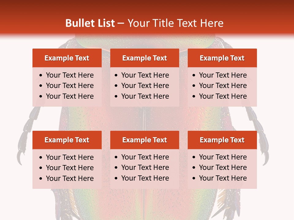 Potosia Scarab Scarabaeoidea PowerPoint Template