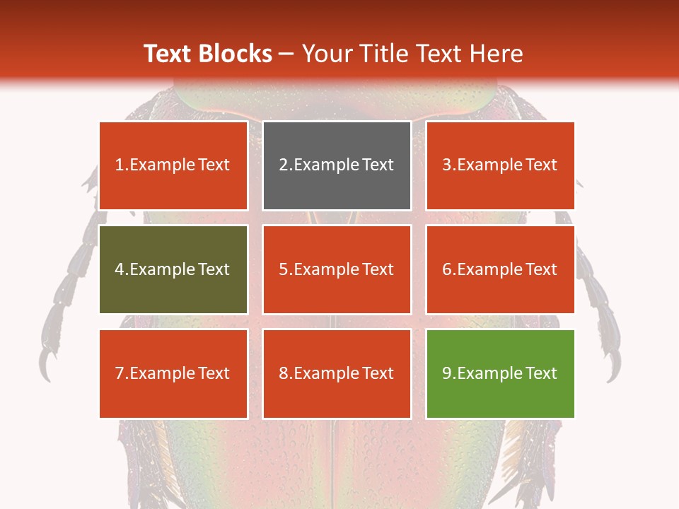 Potosia Scarab Scarabaeoidea PowerPoint Template