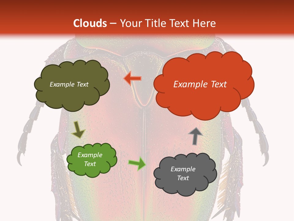 Potosia Scarab Scarabaeoidea PowerPoint Template